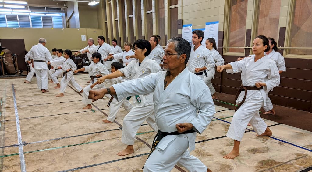 Lahaina Shotokan Karate Dojo - Reverse Punch